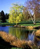 Useless Bay Golf & Country Club